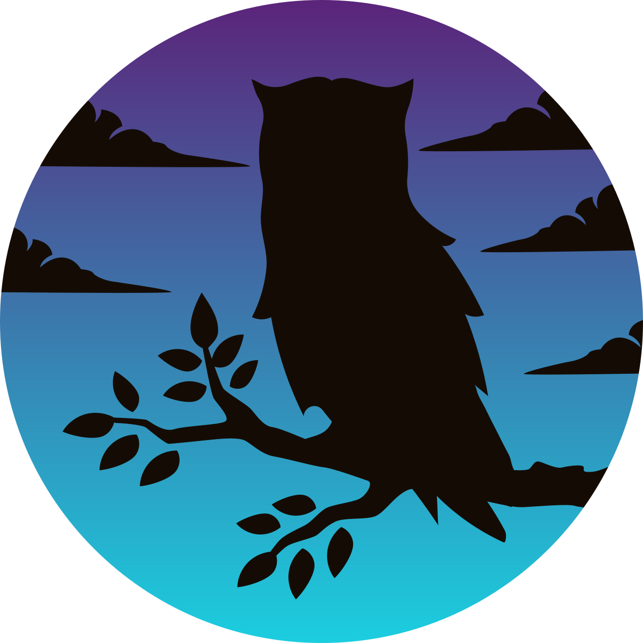 Night Owl Fishing Logo